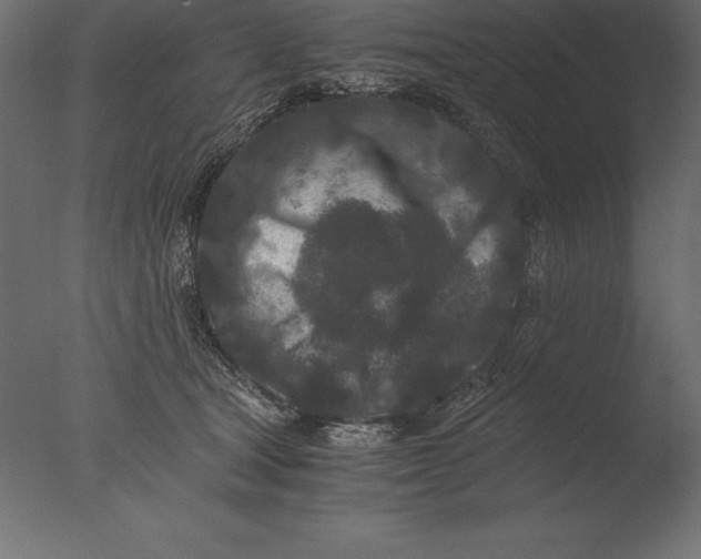 X0000076350465200610201805