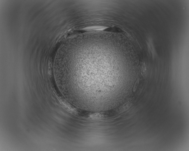 X0000076350470200610201805