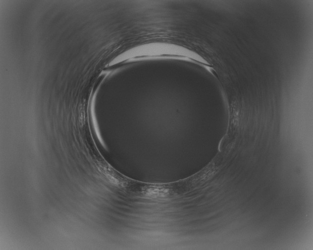 X0000076350471200610201805