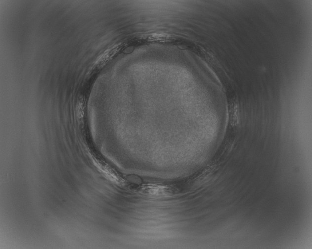 X0000076350472200610201805