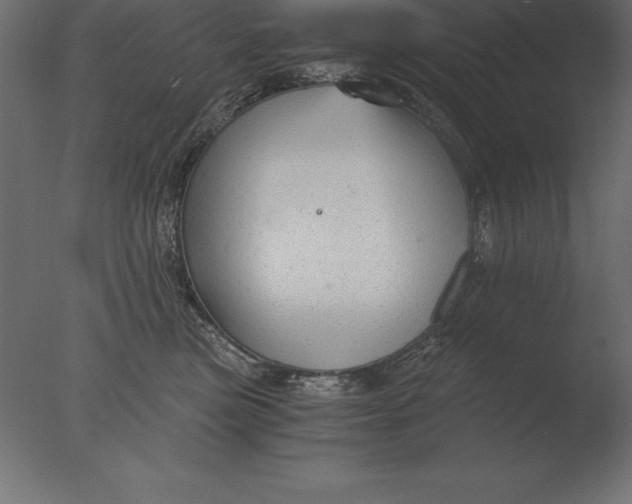 X0000076350473200610201805