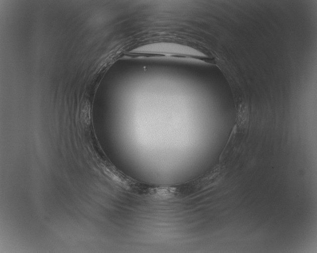 X0000076350474200610201805