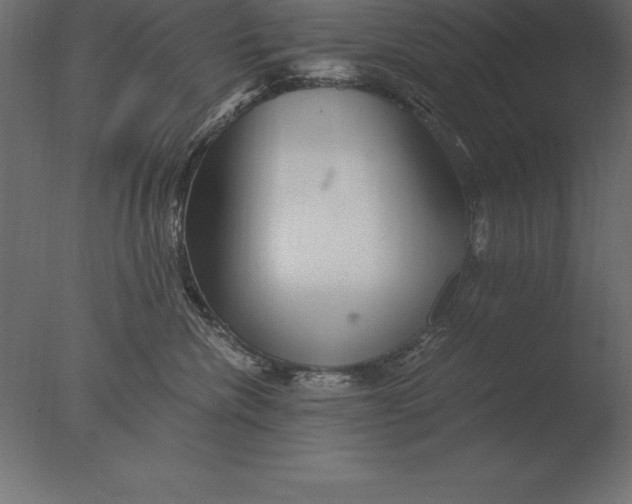 X0000076350476200610201805