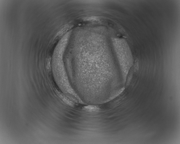 X0000076350477200610201805