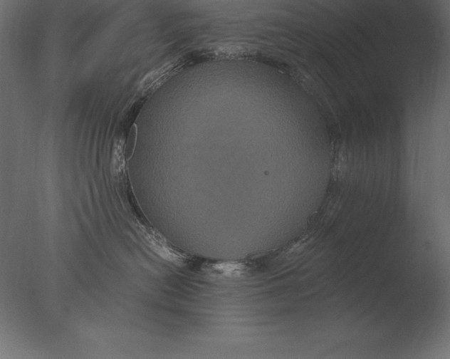 X0000076350478200610201805