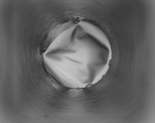 X0000076350480200610201805