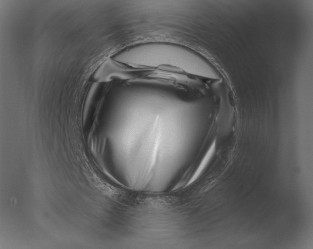 X0000076350481200610201804