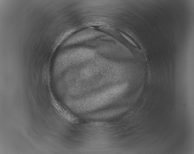 X0000076350482200610201804