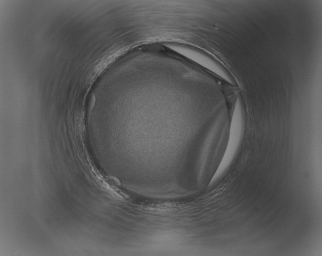 X0000076350485200610201804