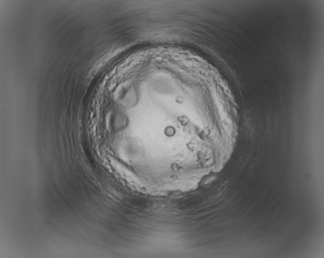 X0000076350487200610201804