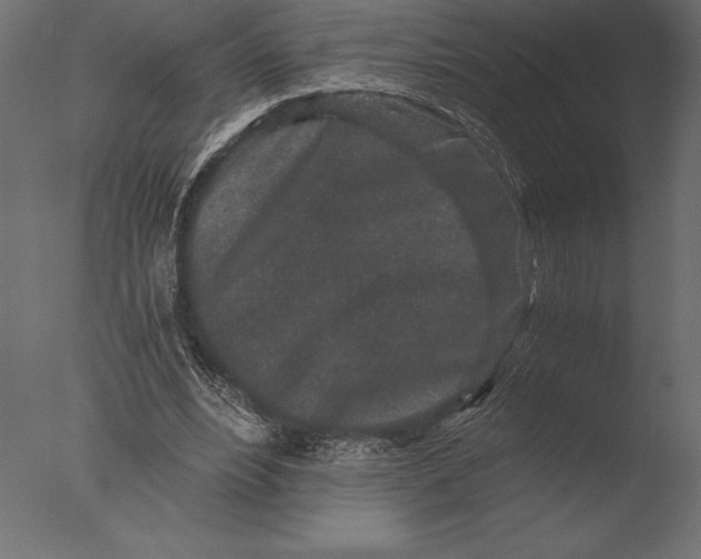 X0000076350488200610201804