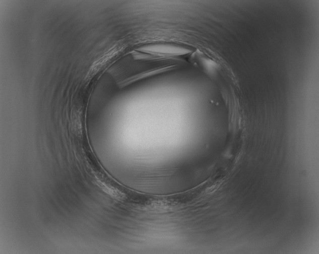 X0000076350489200610201804