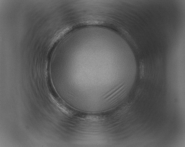 X0000076350490200610201804