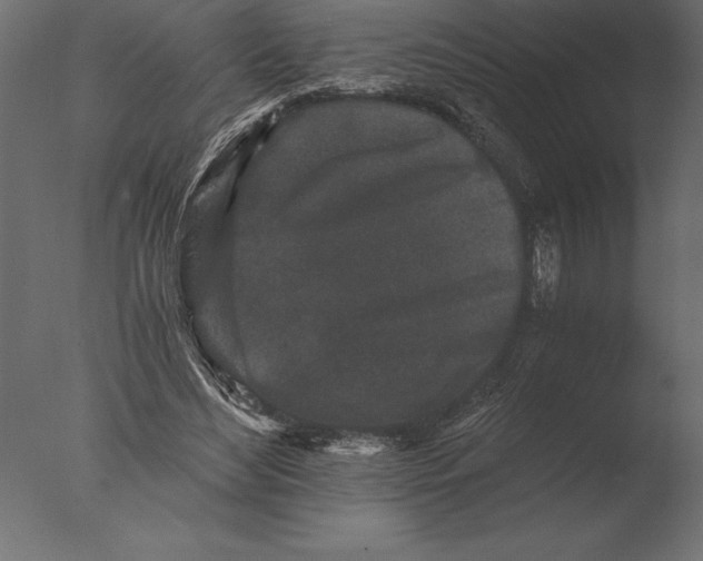 X0000076350492200610201804