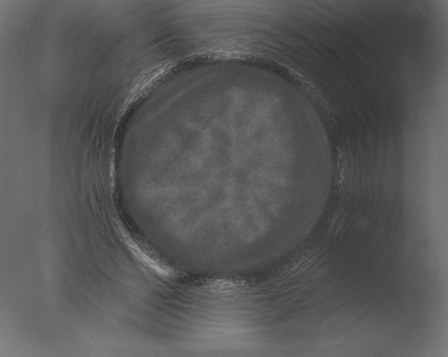 X0000076350494200610201804