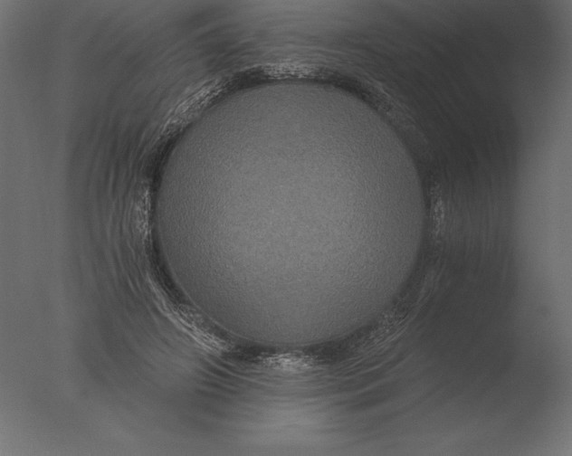 X0000076350498200610201804