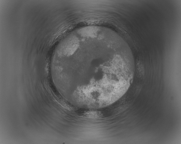 X0000076350499200610201804