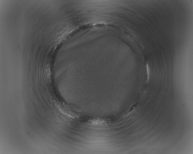 X0000076350500200610201804