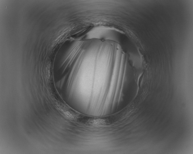 X0000076350501200610201804