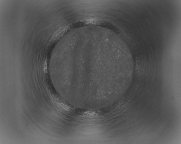 X0000076350502200610201804