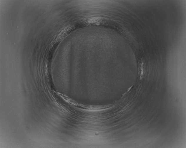 X0000076350504200610201804