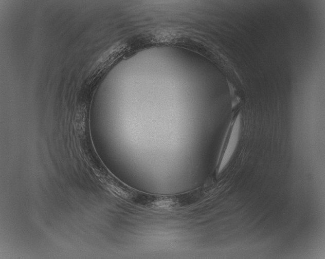 X0000076350505200610201804