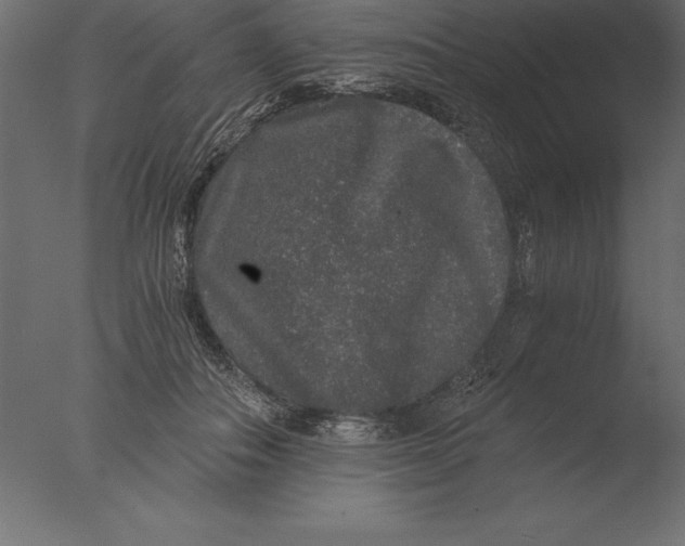 X0000076350506200610201804