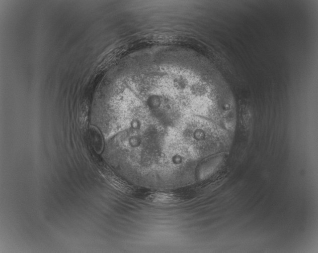 X0000076350507200610201804