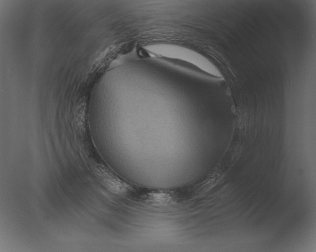 X0000076350509200610201804