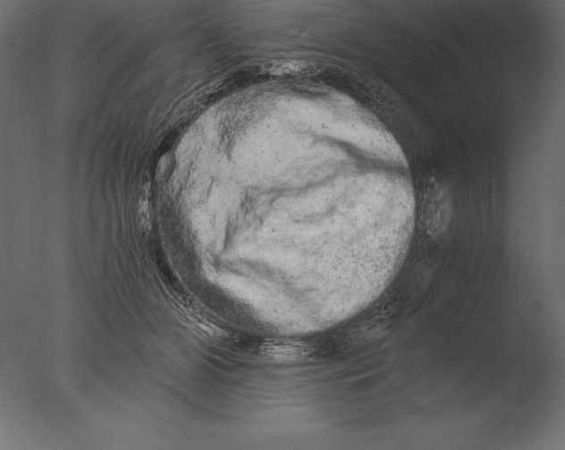 X0000076350510200610201804