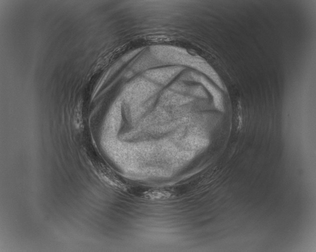 X0000076350512200610201804