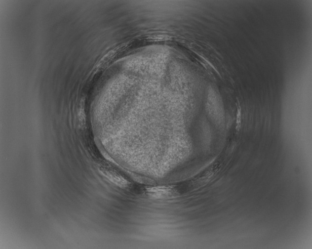 X0000076350516200610201803