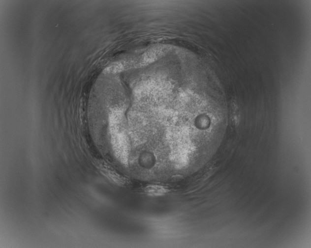 X0000076350519200610201803