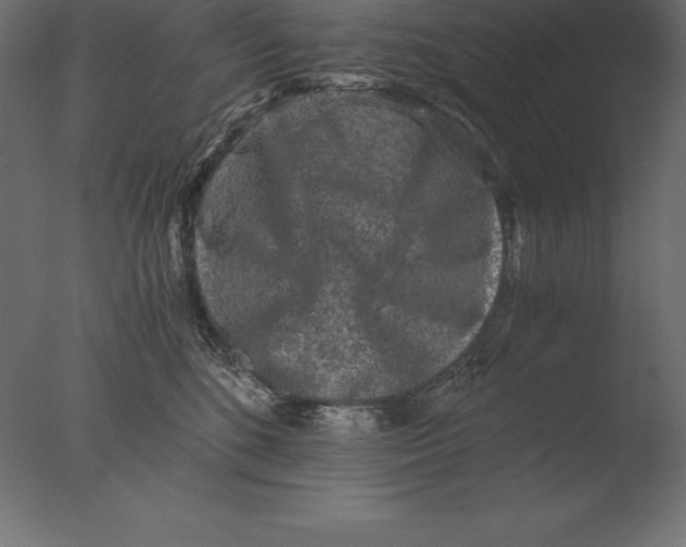 X0000076350520200610201803