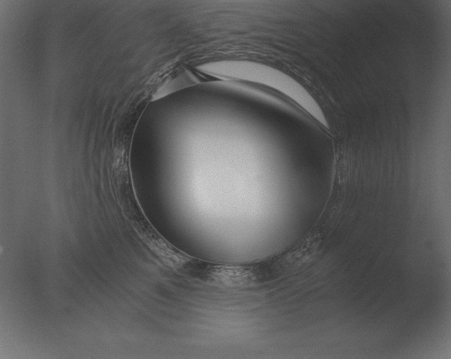 X0000076350521200610201803