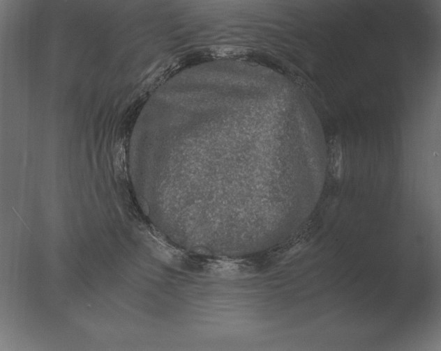 X0000076350523200610201803