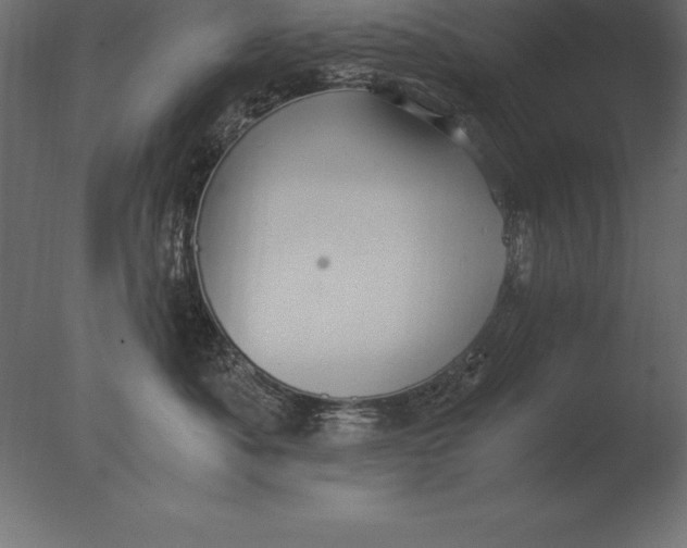 X0000076350525200610201803