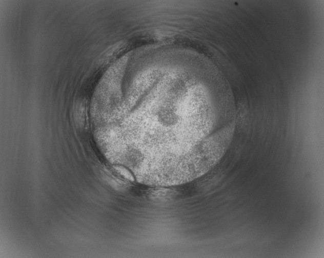 X0000076350527200610201803