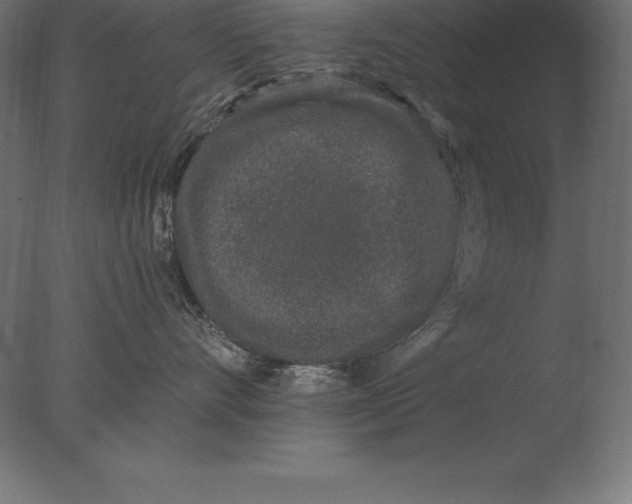 X0000076350528200610201803