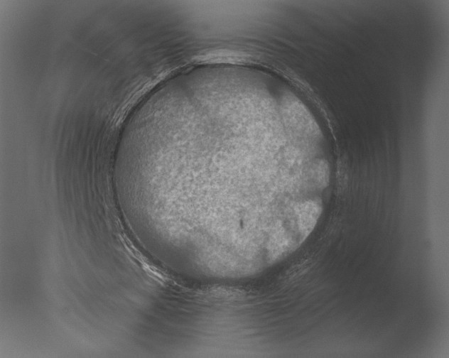 X0000076350529200610201802