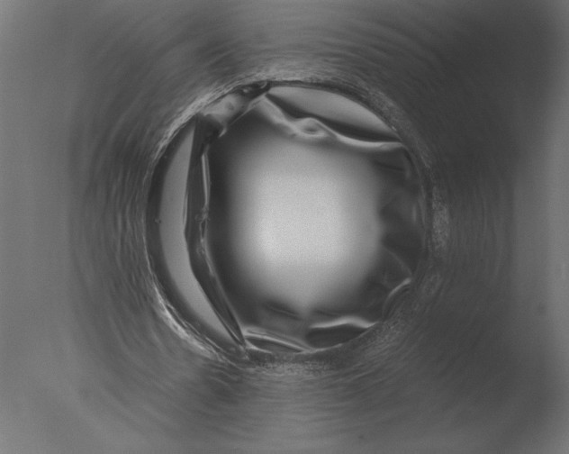 X0000076350530200610201802