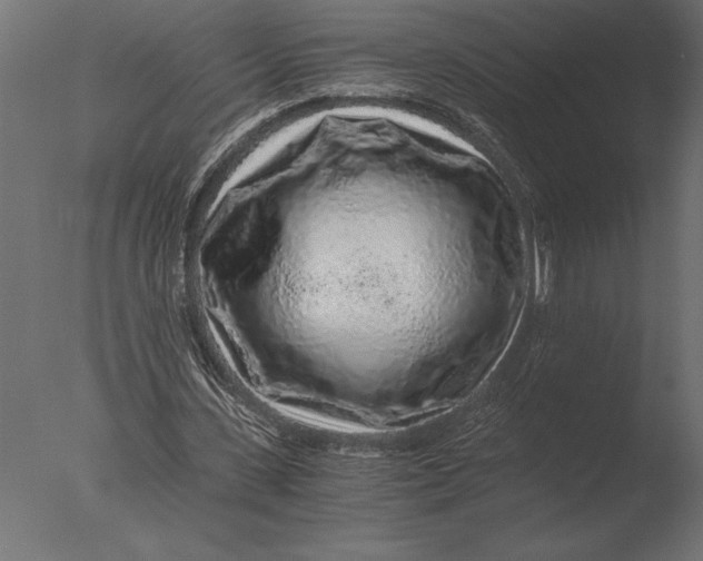 X0000076350531200610201802