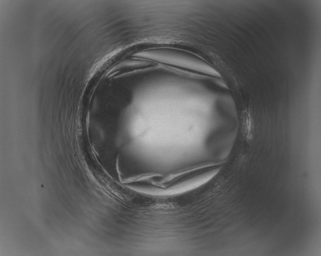 X0000076350536200610201803