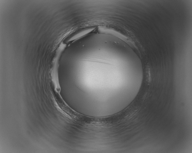 X0000076350538200610201803