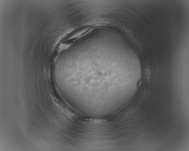 X0000076350539200610201803