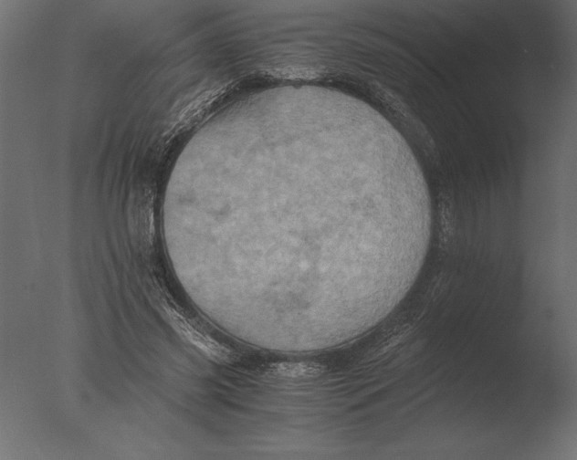 X0000076350541200610201803