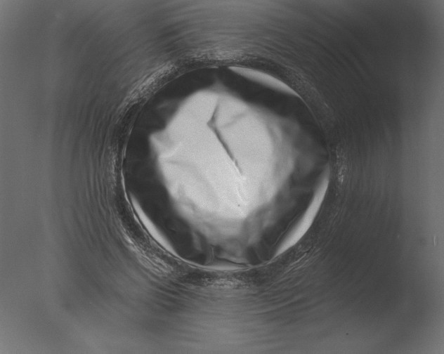 X0000076350542200610201803