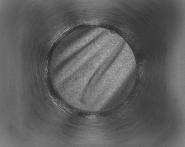 X0000076350544200610201803