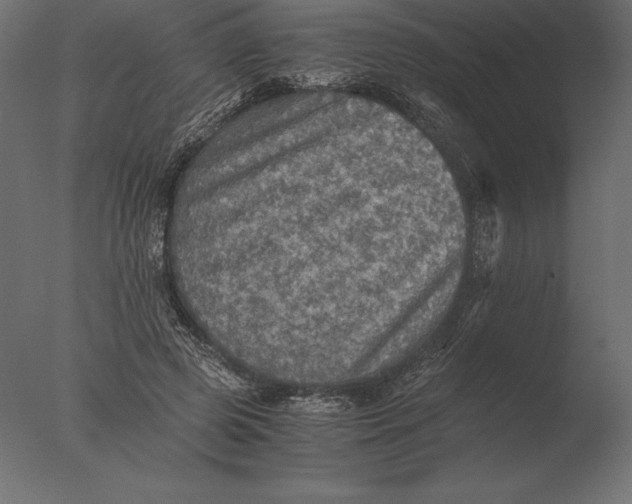 X0000076350545200610201803