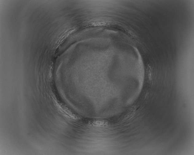 X0000076350546200610201803